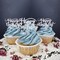 24-Pack Silver Glitter “Happy Birthday” Cupcake Toppers – Decorative Food Picks for Birthday Party Cupcakes and Cake Decorations